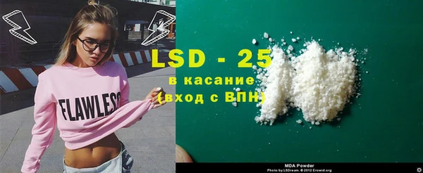 прущие грибы Армянск