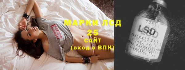 прущие грибы Армянск