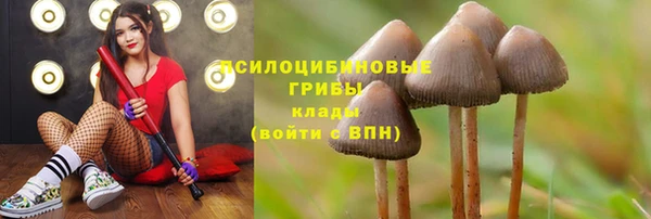 наркотики Аркадак