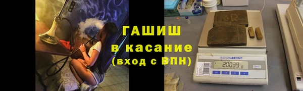 прущие грибы Армянск