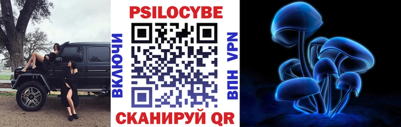 Псилоцибиновые грибы мицелий  дарнет шоп  Сланцы 